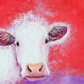 Cow painting - Charolais
