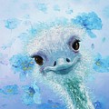 Curious Ostrich