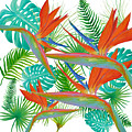 Bird of Paradise flower and tropical leaves and ferns