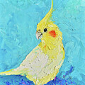 Cockatiel Parrot 